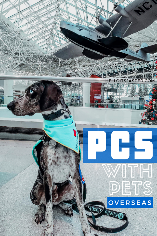 PCS With Pets to Germany