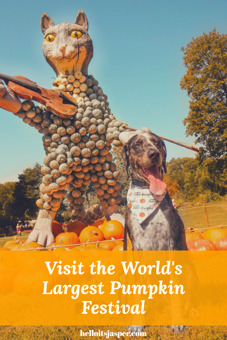 Your Ultimate Guide to Ludwigsburg Pumpkin Festival - The Largest Pumpkin Festival in the World - Germany