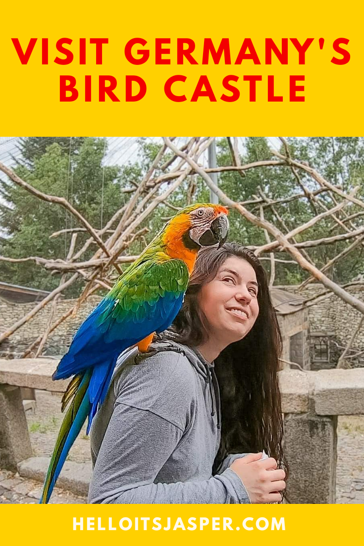 Why You Need to Visit Germany\'s Bird Castle - Vogelburg Guide