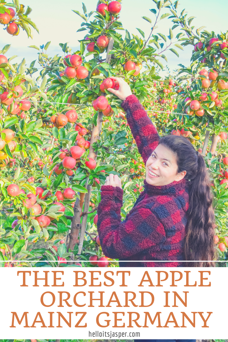 The Best Apple Orchard in Mainz, Germany