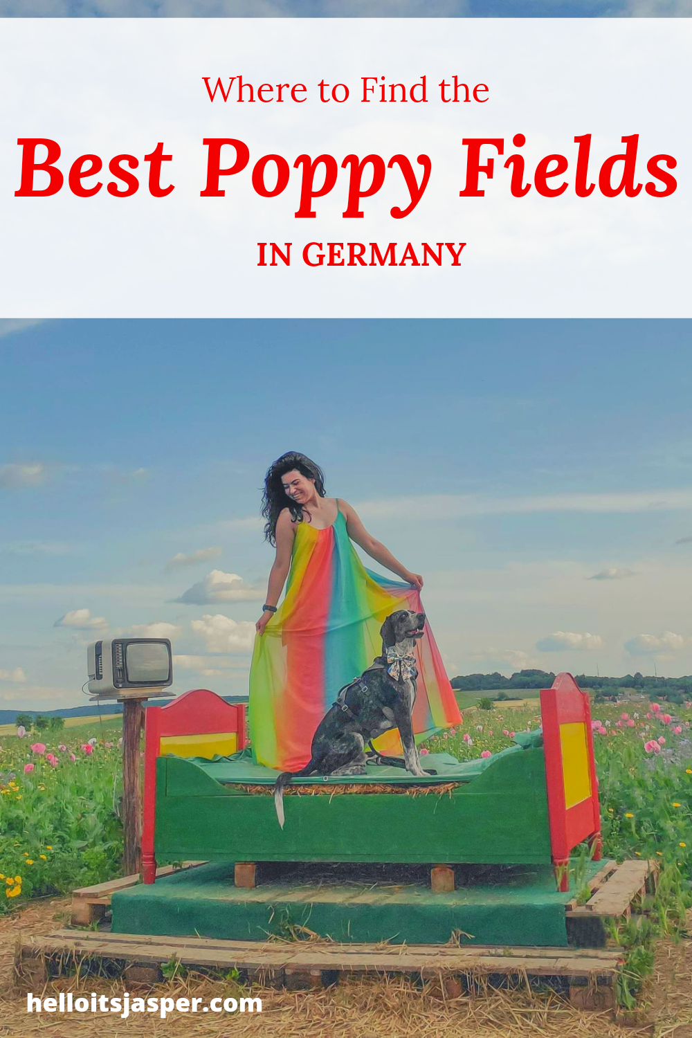 Where to Find the Best Poppy Fields in Germany