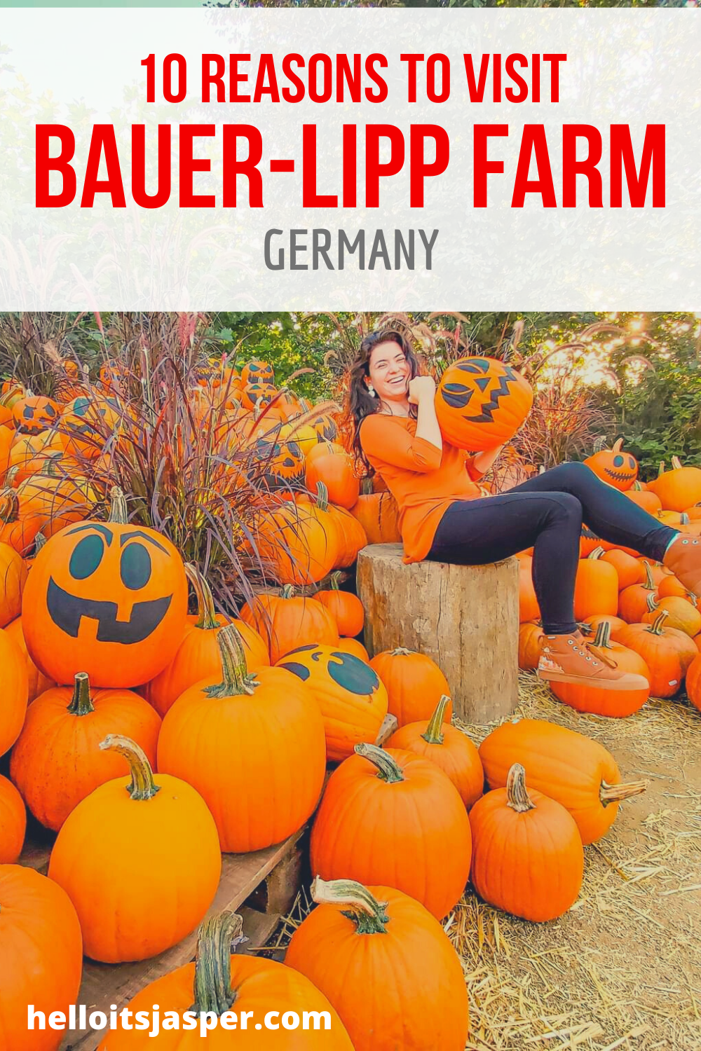10 Reasons to Visit Bauer-Lipp Farm This Fall